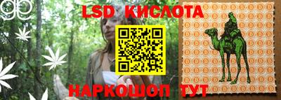 ПСИЛОЦИБИНОВЫЕ ГРИБЫ Заводоуковск