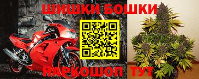 ПСИЛОЦИБИНОВЫЕ ГРИБЫ Заводоуковск